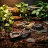 Anti-knock Reptile Food Bowl Imitation Stone Amphibians Water Bowl  Pet Habitat