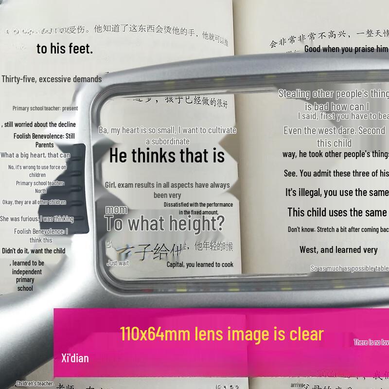 Portable LED Handheld Reading Magnifier