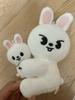 STRAY KIDS Skis Skige Magnet Flash Set Ribbit