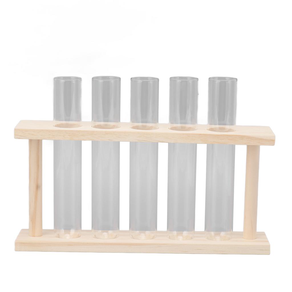 5 Test Tube Plant Terrarium Transparent Observe Growth State Plant Terrarium with Wooden Stand