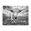 Black and White Highland Cow Cattle Canvas Painting Nordic Posters and Prints Wall Art Pictures for Living Room Home Decoration No Frame