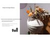 Vaso in Ceramica Wabi-Sabi: Composizione floreale idroponica minimalista per soggiorno o decorazione interna