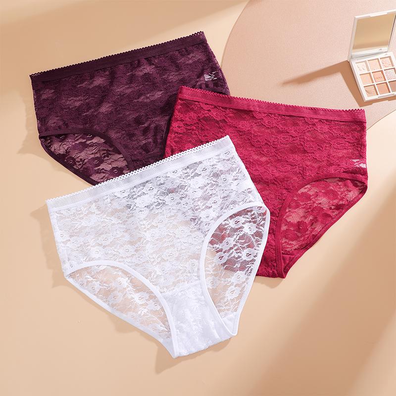 3ks/Sada Dámské krajkové kalhotky Vysoký pas Sexy spodní prádlo Průhledné dámské kalhotky Přiléhavé Plus Size kalhotky S-XXL