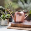 Rose Gold Stainless Steel Watering Can with Spout, Retro Style, 1000ML for Succulents and Green Plants