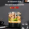 Compact Ecological Fish Tank with Filter & Oxygenation for Betta - Desktop Mini Aquarium