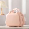 Li Shen Portable Mini Cosmetic Travel Case