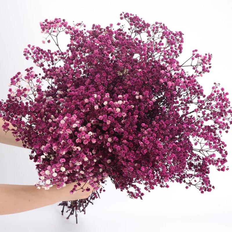 Dried Flowers Babys Breath Bouquet Ivory White Flowers Natural Gypsophila Branches for Home Decor Wedding Flowers Bulk for Vase