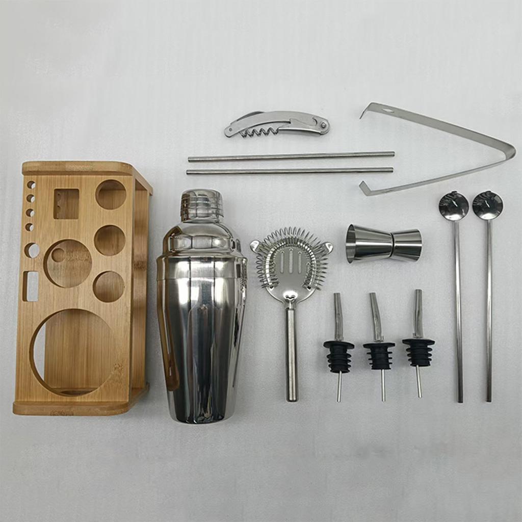 13 Piece Stainless Steel Cocktail Shaker Set,Bar Tool Kit for Home and Party