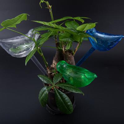 Sulama – Sulama şişeleri ve fısfıslar