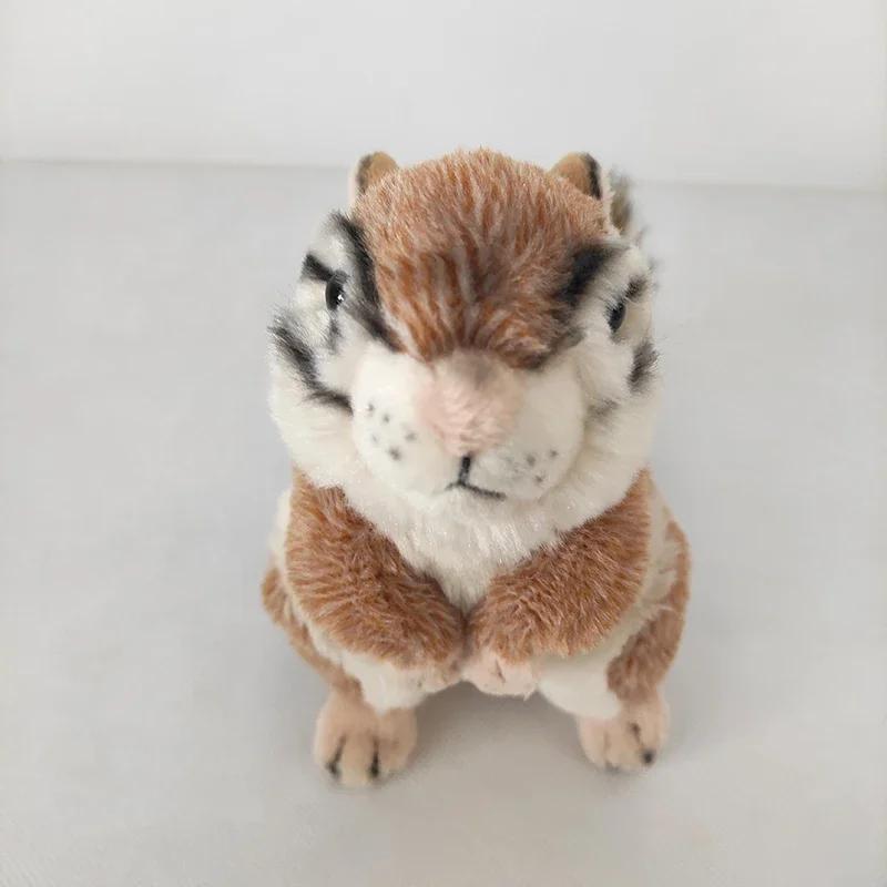 Adorable Lifelike Chipmunk Plush Toy Kawaii Chippy Stuffed Animal Doll Cute Toy Gift For Kids Home Decoration Wholesale Dropship