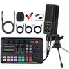 F998 Type-C Sound Card & Microphone Set for Live Broadcasts and Podcasts
