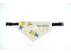 Cross-Border Pet Dog Bib, Drool Towel, and Bandana Collar for Small Dogs and Cats