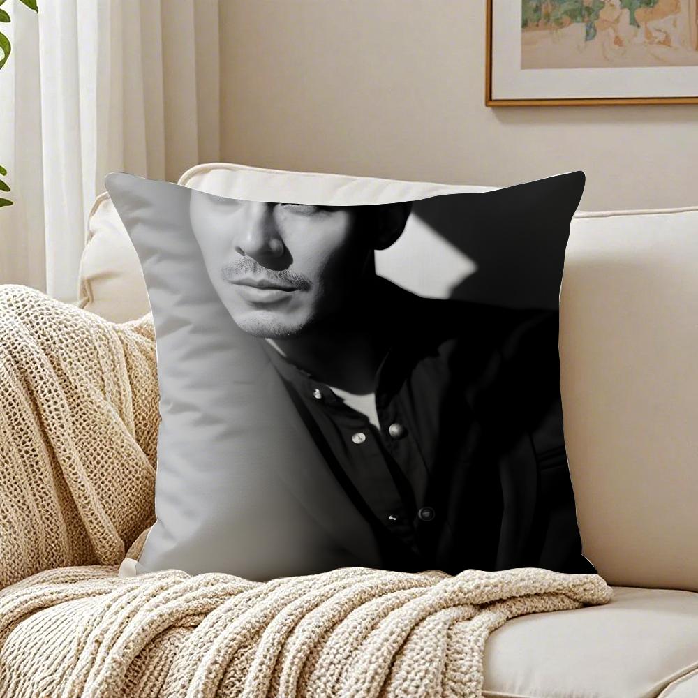 LLewis Tan Movie Star Peripheral Cushion Cover Pillowcase Antidustmite living Room Sofa Decor Cushion Room