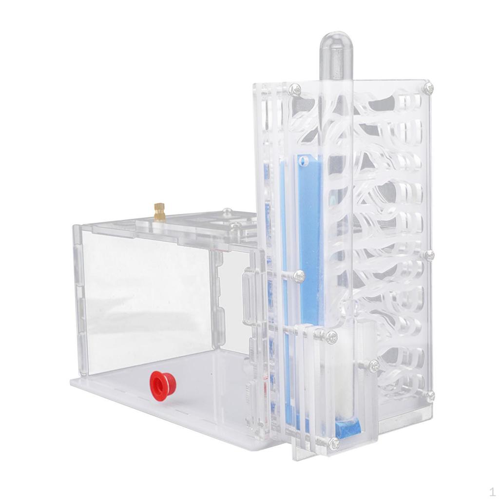 Compact DIY Moisture Nest Box for Science Observation Living Room Home Kitchen