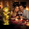 Transparent Dome Cover Diy Handmade Display Fresh Flower Petals Decoration Plastic-covered Christmas Snowman Protective Box