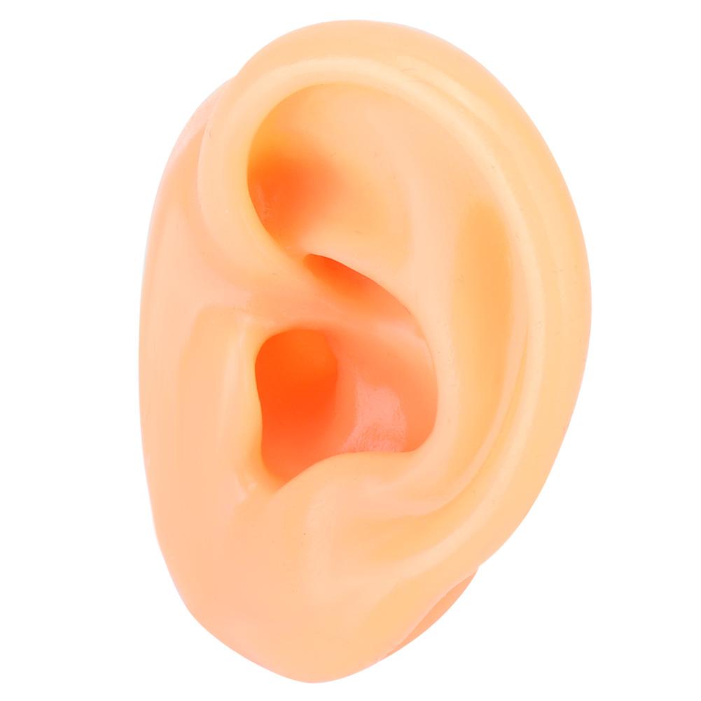 Soft Silicone Simulation Left Human Ear Model Ear Display Teaching Aid Model