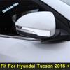 Outside Door Mirror Protection Strip Streamer Cover Trim For Hyundai Tucson 2016 -  Exterior Refit Accessories