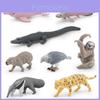 Realistic South American Animal Figurine Set Of 8 Pvc Models For Collectors And Decor