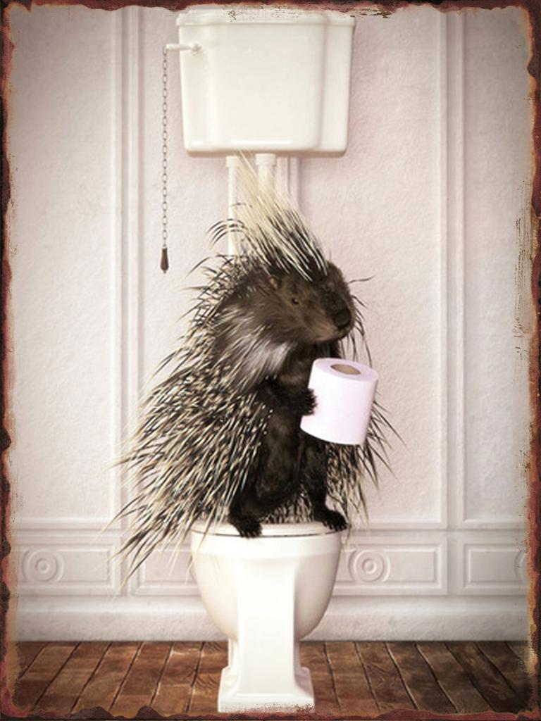 Toilet Animal Funny Metal Tin Signs Home Bathroom Wall Art Decoration Public Lavatory Plaques Restroom Plate Background Poster