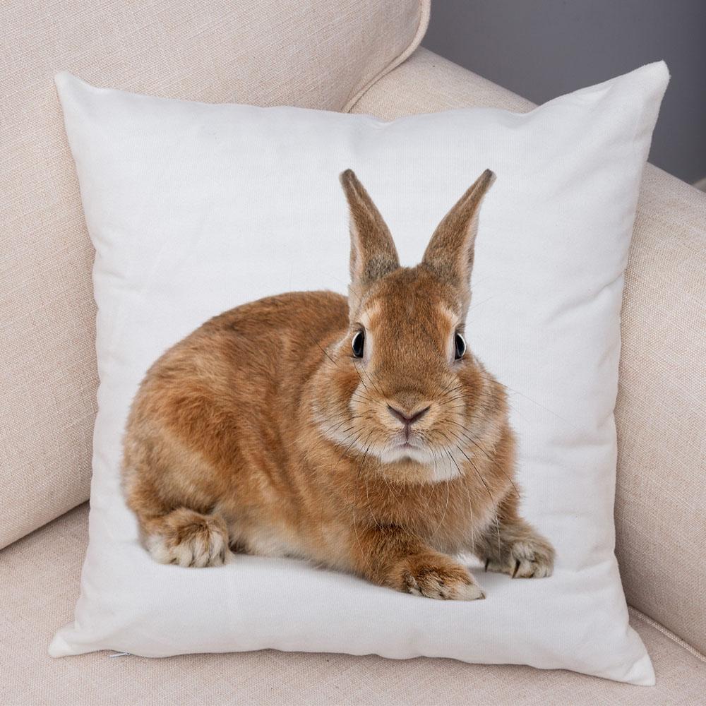 Home Sofa Kids Room Decor Cute Pet Animal Print Cushion Cover Pillowcase  Rabbit