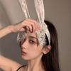 Korean Cute Lace Cat & Rabbit Ears Headband for Women - Cosplay & Face Wash Accessory