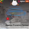 Smart Life Zigbee Human Presence Detector 5.8G/24G Tuya Wifi MmWave Radar Pir Montion Sensor With Luminance Detection