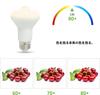 SZHZS E26 Motion Sensor LED Bulb, E26 Base, 7W, Equivalent To 60W, 800LM, Automatic OnOff, Bright, Prevents Forgetting To Turn Off, Security, for