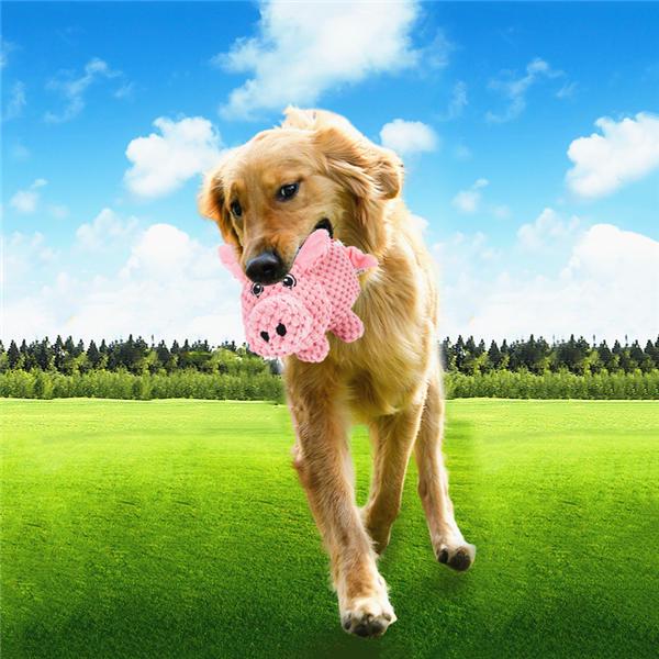 Jucării amuzante de pluș cu sunet scârțâitor pentru câini și pisici, durabile, de mestecat, pentru molari