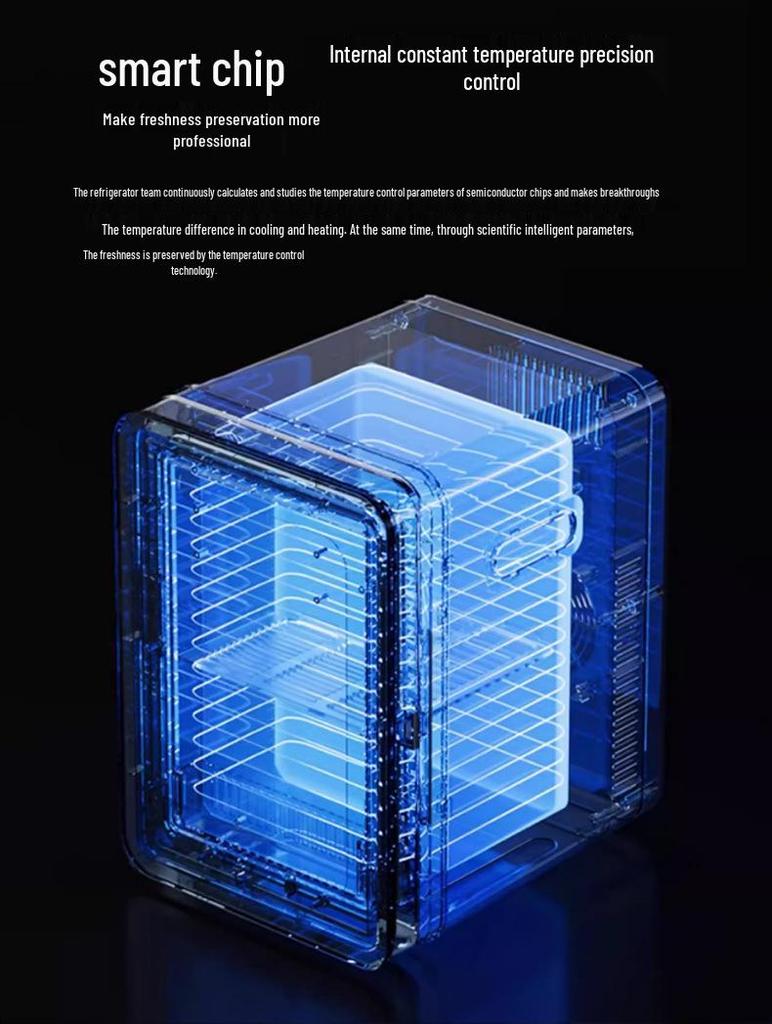 Portable Mini Fridge: For Beauty, Beverages, Breast Milk, Hot & Cold Use, Ideal for Car and Home