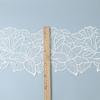 White/transparent film/20CM