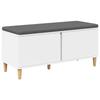 Hall Bench with Cushion Storage Compartment and Door White 100 X 38 X 46 Cm