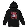 Pink Floyd Childrens/Kids Allseeing Prism Pull Over Hoodie