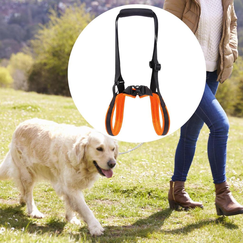 Hunde-Liftharness Verstellbares Assistenzband Haustiermobilität Bequeme Beingstütze Schlinge für Treppen