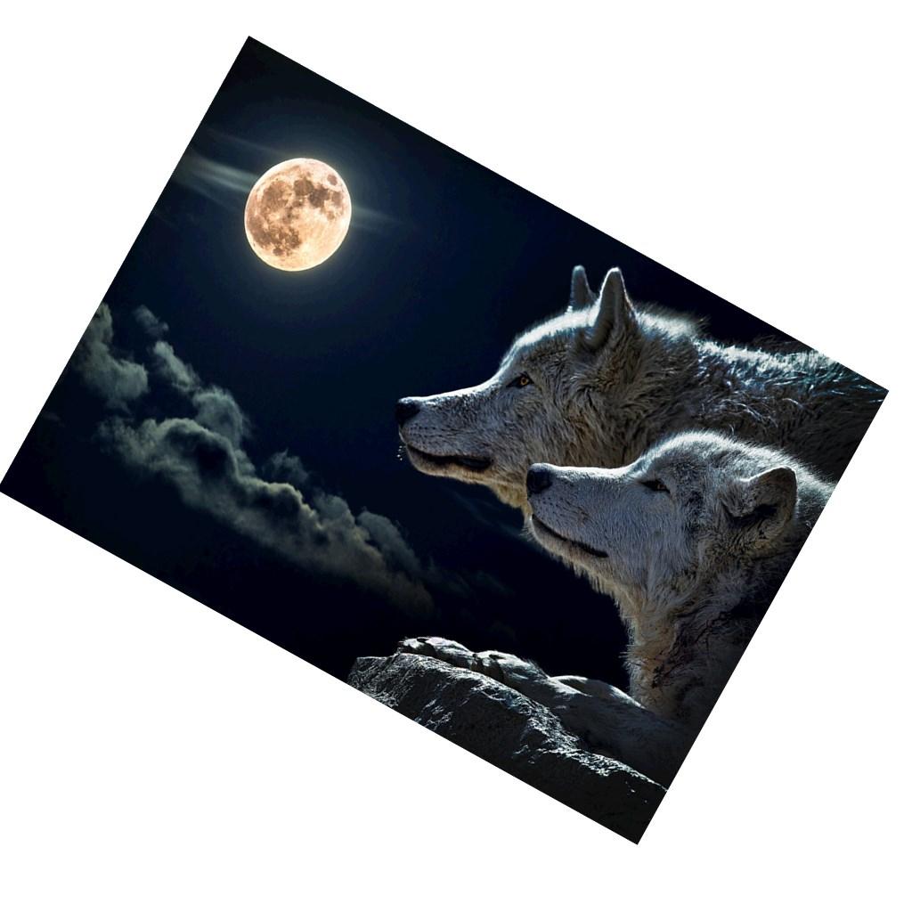 1pc 5D DIY diamond of painting Animal Cartoon Embroidery Craft stitch - Wolf