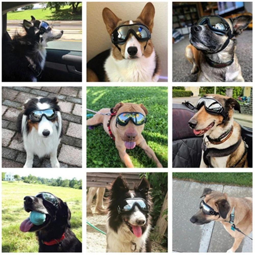 Anti-Fog Dogs Goggles Breathable Pet Glasses Comfortable Dog Eye Wear Protection  Medium Large Dogs