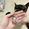 Elegant Pet Fur Memory Jar Cat Hair Storage Bottle Transparent Keepsake Keychain Memorial for Collecting And Dog Gift Pets