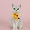 Santa Claus Pet Scarf Holiday Themed Pet Accessory Festive Christmas Pet Scarf Set with Knitted Cat Scarf Pompom for Holiday