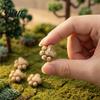 Ev Dekoru – Dekoratif Terraryumlar