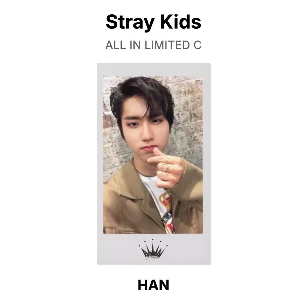 Stray Kids ALL IN LIMITED C Official Photocard