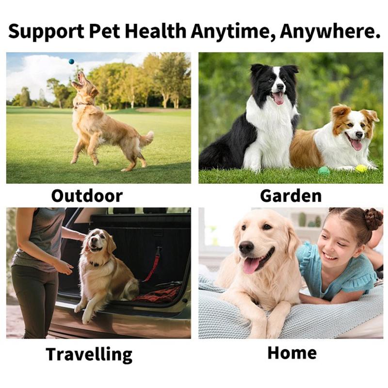 Prodotti per la pulizia degli animali domestici Spazzolino da dito usa e getta Copridito per la pulizia dei denti degli animali domestici Salviette umidificate Pulizia orale di cani e gatti