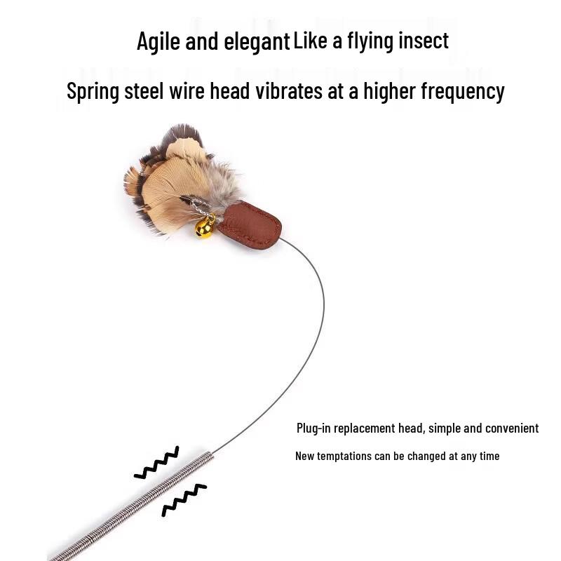Retractable Cat Teaser Wand with Replaceable Head