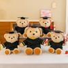 Teddy Bear Doctor Bear Doll Plush Toy Graduation Doll Bear Doll Birthday Gift Chronicle