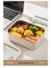 Korean Square 304 Stainless Steel Lunch Box with Airtight Glass Lid - Microwave Safe