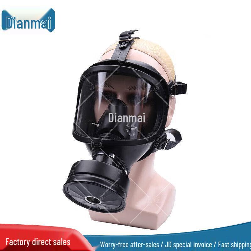 Dianmai MF14 Gas Mask with Z-B-P2-2 Filters