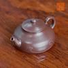 PUSHI Yixing Original Purple Clay Zisha Teapot