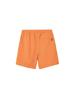 The North Face Vagrant Fade Iron Size S Shorts, Bronze,