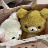 Lovely Fluffy Rilakkuma Plush Toy Stuffed Bear Cute Korilakkuma White Bear Doll Huggable Plushies Birthday Gift For Lovers