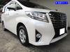 BRIGHTZ Chrome Fog Light Covers for Toyota Alphard Hybrid early AYH30 AYH H30 30 (AYH30W, model) [FOG-COV-389]