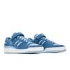 adidas Forum Low 'Ambient Sky' (Unisex) Ambient Sky / Altered Blue / Blue Tint Skateboard Shoes GY2069