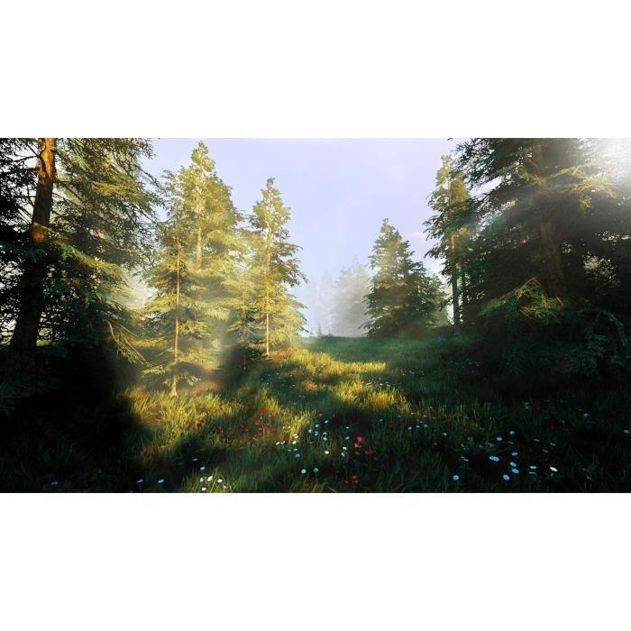 Jeu de simulation de chasse - Hunting Simulator 2 - Switch - 16 ans et plus - Noir - 1 cm de hauteur